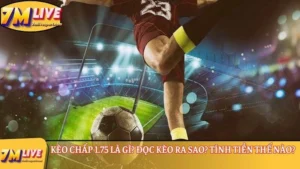 kèo chấp 1.75 là gì