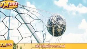 Kèo tài xỉu 2-2.5 là gì